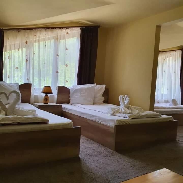 Pensiunea Mirela Pestera Ursilor Chiscau Esterno foto